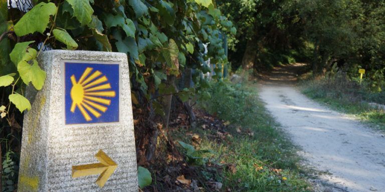 El grupo municipal del PP de Vigo lleva al pleno una moción para la promoción del Xacobeo