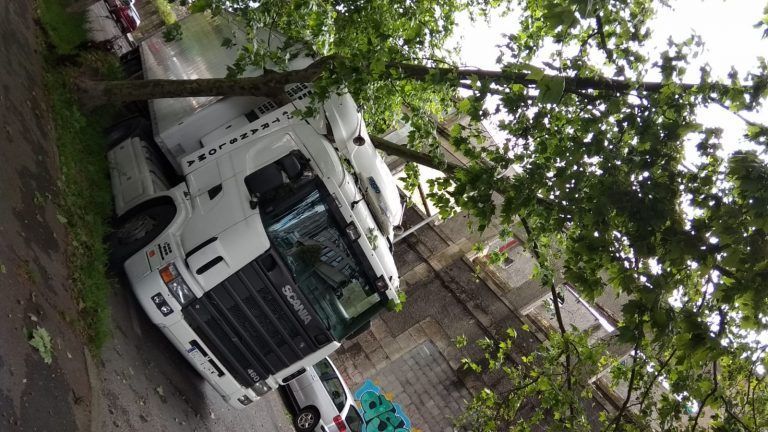 Un tráiler derriba un árbol en Julián Estévez