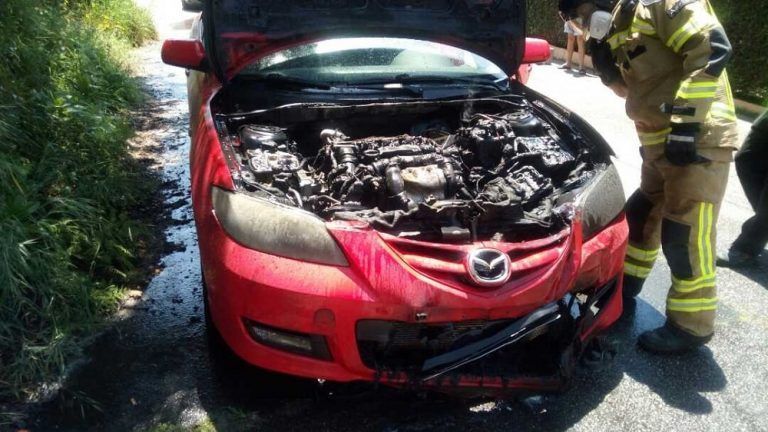 Calcinado un vehículo en Bembrive