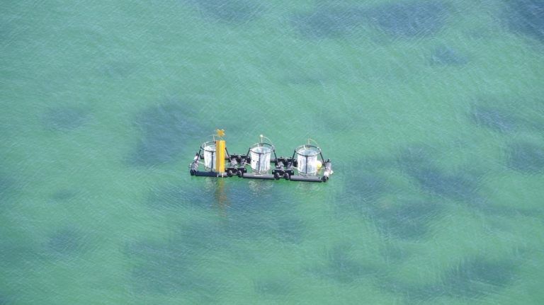 A Universidade de Vigo entra a formar parte da rede internacional de instalacións de mesocosmos acuáticos