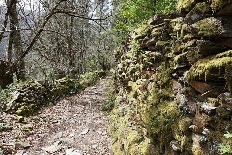 O programa +Bosques regresa esta fin de semana con rutas polo Pazo de Lourizán e o Carreirón