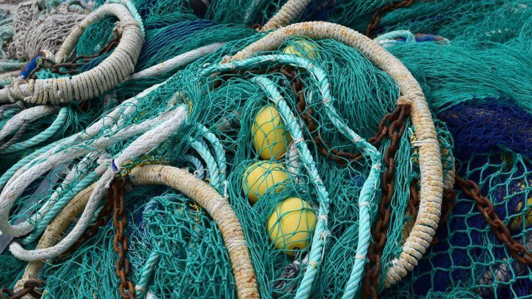 O grupo Ecotox participa no proxecto europeo Glaukos para reducir a contaminación xerada pola roupa e as artes de pesca