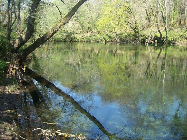 Un joven resulta herido de gravedad tras caerse de una cuerda al río en Ponteareas