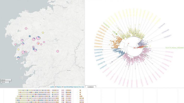 O proxecto Epicovigal empregará a análise xenómica para entender a evolución e circulación do coronavirus en Galicia