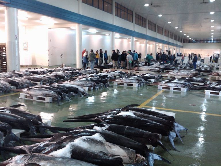 Galicia pone a disposición de cofradías y entidades gestoras de lonjas 600.000 euros para paliar los efectos del coronavirus