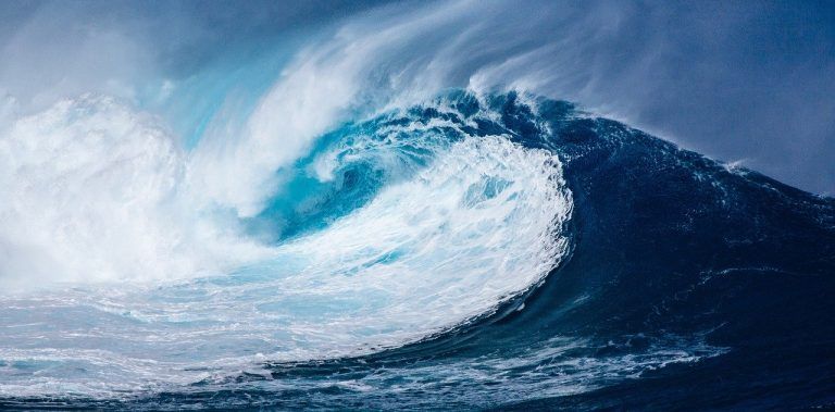 El Cetmar, miembro fundador de la plataforma de promoción de la cultura oceánica europea