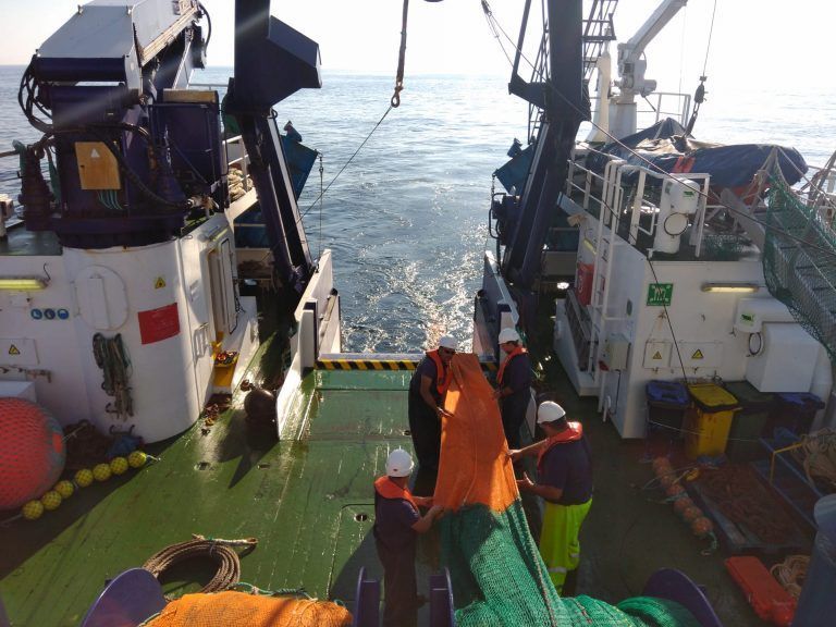 El IEO inicia una campaña para estimar la cantidad de xouba en el mar