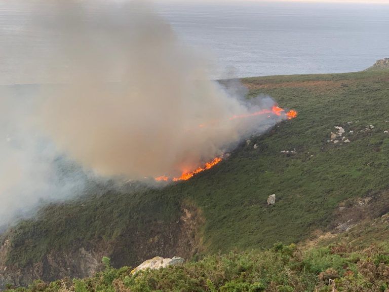 Estabilizado el incendio en la Isla de Ons que afecta a unas 4 hectáreas del Parque Nacional de las Islas Atlánticas