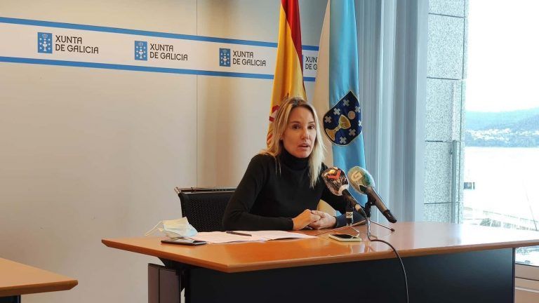 Fernández-Tapias subraya que la sentencia del TSXG sobre la PassVigo «desmonta los argumentos del alcalde» sobre el transporte y el área metropolitana