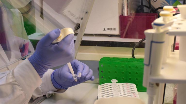 La UVigo ‘capta’ siete nuevos investigadores distinguidos