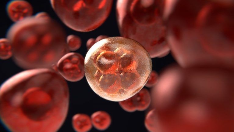 Vigo se suma a una terapia vanguardista contra el cáncer