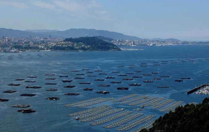 Ría_de_Vigo-min