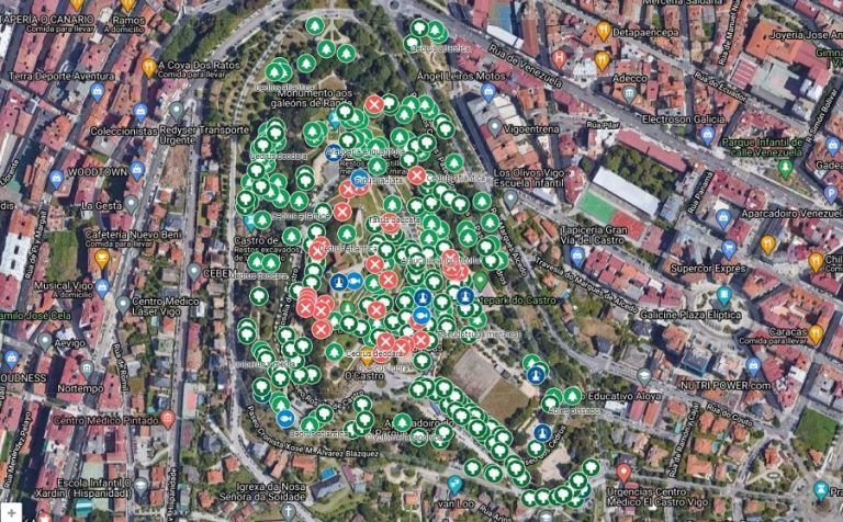 Ecoloxistas en Acción crea un mapa interactivo das árbores do Parque do Castro para ubicar e identificar os exemplares e protexelos das tallas indiscriminadas