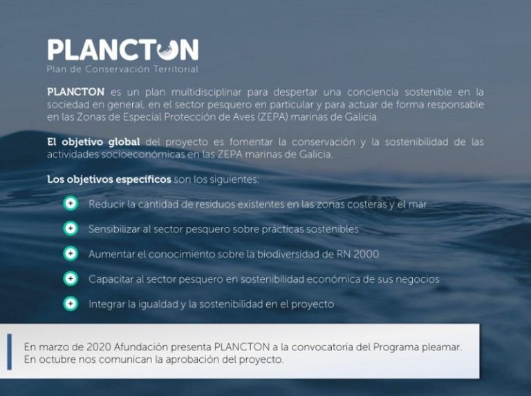 Afundación impulsa un plan para la sostenibilidad de las Zonas de Especial Protección para las Aves marinas