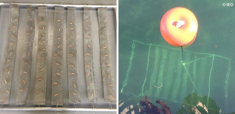 Las colillas arrojadas en las playas pueden suponer una fuente significativa de metales pesados en el océano