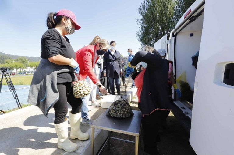 La Xunta ve ilógico que el Gobierno central saque de la manga un requisito que jamás fue pedido desde que existen los planes generales de explotación marisquera