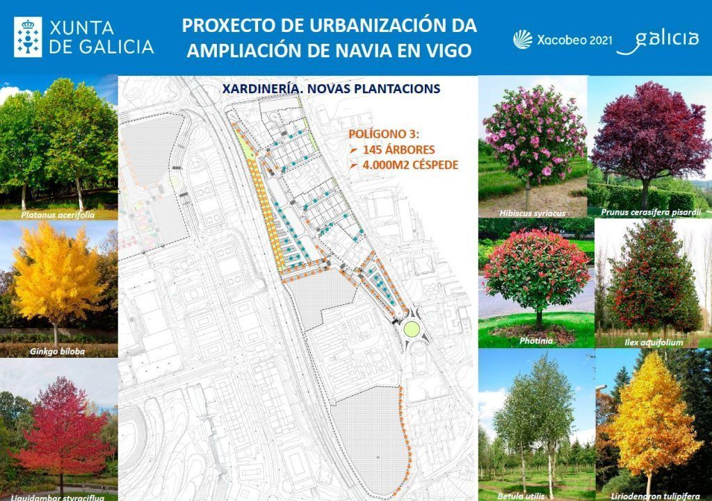 la-urbanizaci-n-de-san-paio-de-navia-prev-casi-23-000-metros-cuadrados