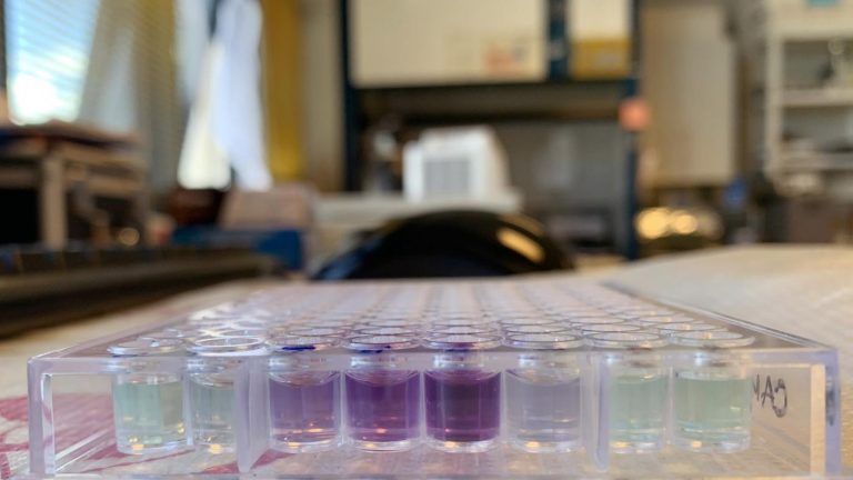 O ránking de Shanghai por ámbitos sitúa a UVigo entre as 75 mellores universidades do mundo en Ciencia e Tecnoloxía dos Alimentos
