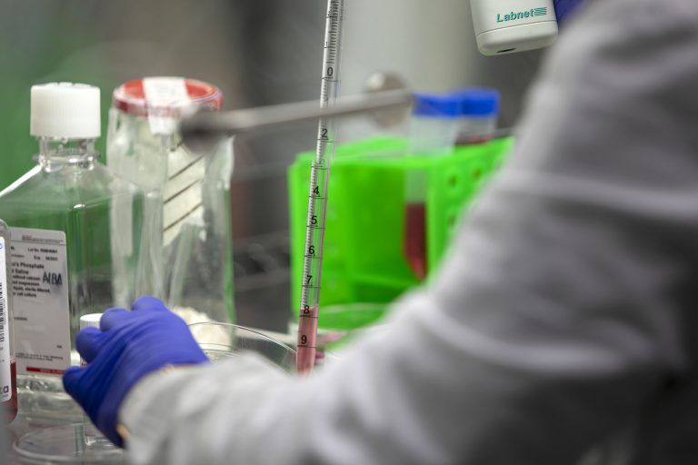 Galicia se consolida como potencia científica: logra 15 investigadores Marie Curie en una convocatoria récord