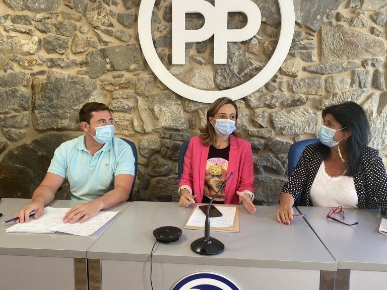 El grupo municipal del PP propone un plan para mejorar la accesibilidad en Vigo