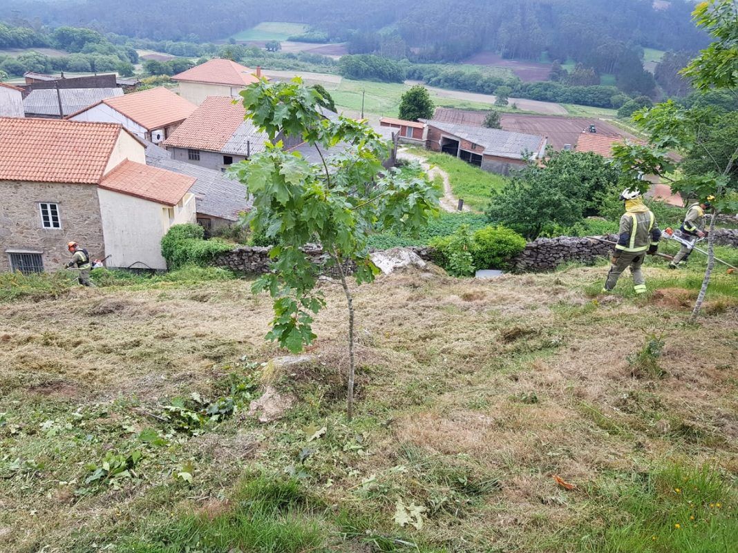 incendios monte desbroce (1)