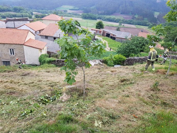 incendios monte desbroce (1)