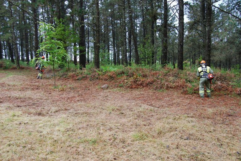 Vilaboa reclama cambios legales para afrontar la limpieza forestal tras un incendio reciente