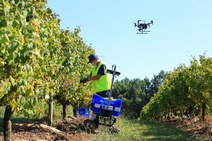 TERRAS GAUDA ROBÓTICA Y DRON