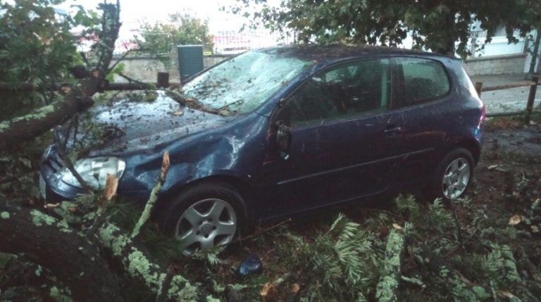 La caída de un árbol causa importantes daños sobre un turismo en la calle Atalaya