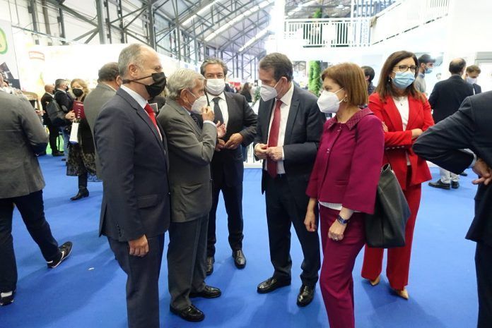 caballero conxemar (2)