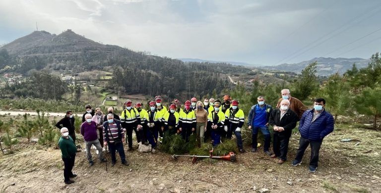 La Xunta y la Mancomunidad de Montes de Vigo colaboran en la repoblación forestal a través de un taller de empleo