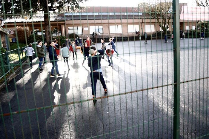 Abierto el plazo para que colegios de Vigo y la provincia participen en el programa Vive o Rural