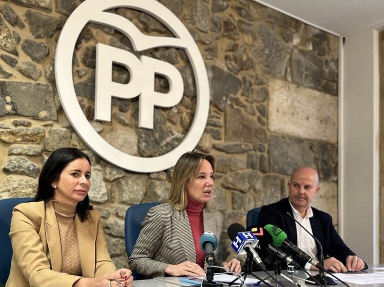 El PP solicita al Gobierno central al menos 700 millones en ayudas para la automoción de Vigo y de Galicia