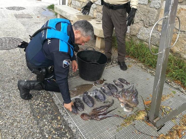 Incautan casi 10 kilos de marisco y pescado extraídos de modo ilegal en Vigo