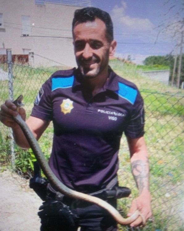Capturan una serpiente de 70 centímetros en una vivienda de Vigo