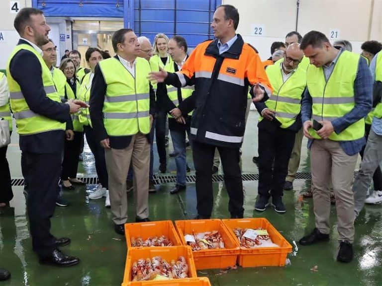 Una delegación de pesca de la UE visita la lonja y el mercado del Puerto de Vigo