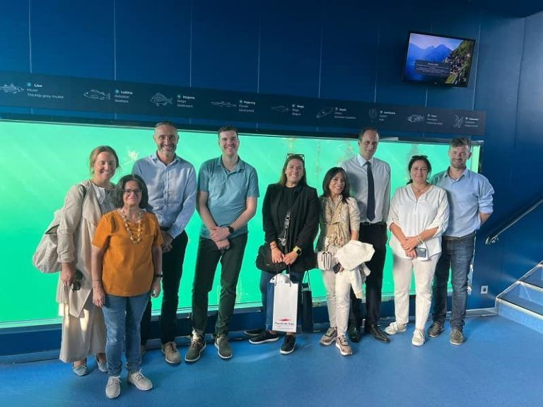 El Puerto de Vigo recibe la visita de tres navieras de cruceros de lujo