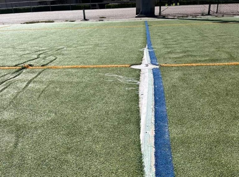 El PP de Vigo reclama al Gobierno local que licite y adjudique de manera inmediata los trabajos de reposición del césped del campo de As Traviesas