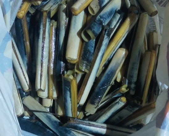 Interceptado un furtivo que extraía navajas en la playa de la ETEA