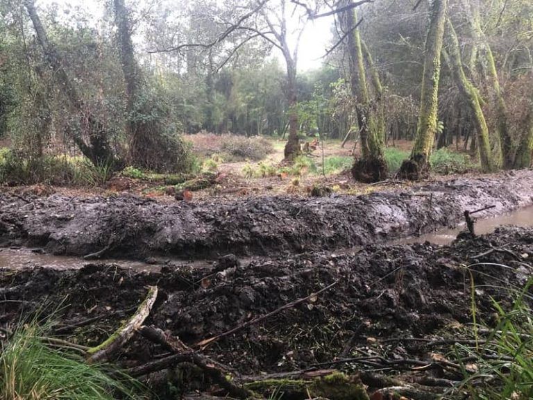 O BNG de Vigo pide a paralización inmediata das obras denunciadas no nacemento do río Lagares