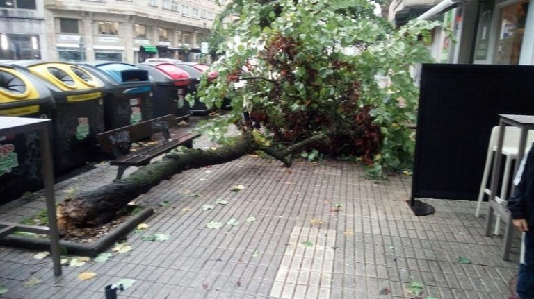 La Central de Emergencias supera ya las 600 incidencias gestionadas, situándose Vigo por encima de las 30