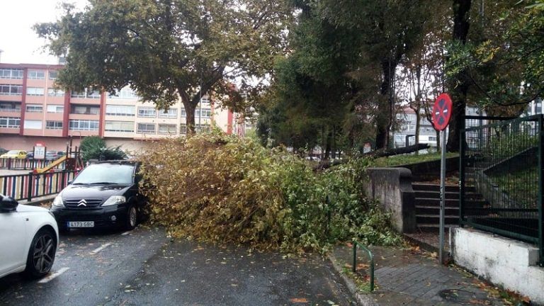 Rescatan a un conductor en Vigo sobre cuyo vehículo cayó una rama de grandes dimensiones