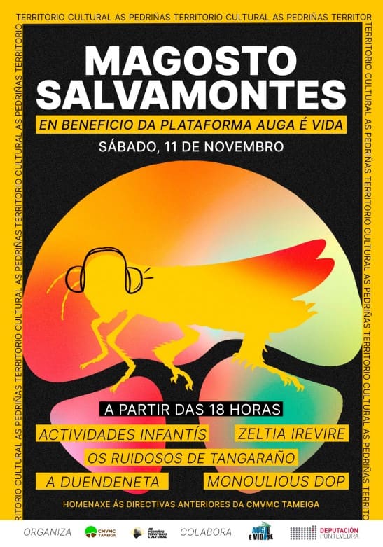 Magosto “Salvamontes”: castañas e cultura en favor da auga e do monte ante o GS360