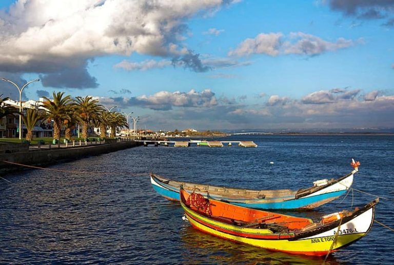 A UVigo axudará a rexenerar as pradarías submarinas da ría de Aveiro