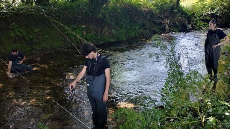 UVigo e EnergyLab analizan os procesos de biodegradación de bioplásticos e de polímeros sintéticos