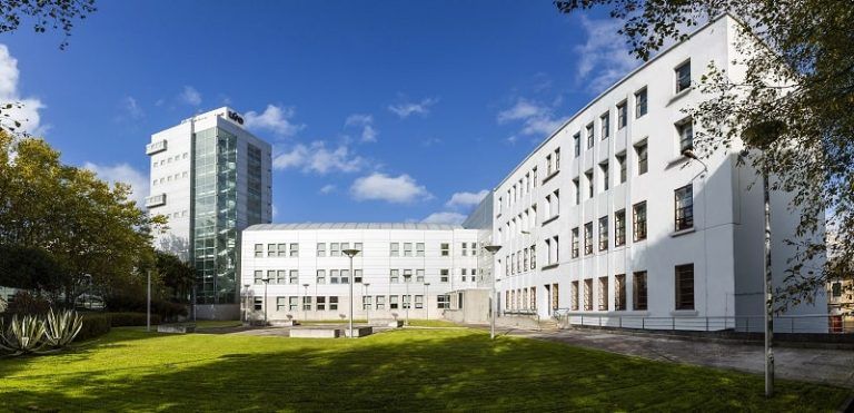 La UIE incorporará el próximo curso 2024-2025 un nuevo grado innovador en Psicología