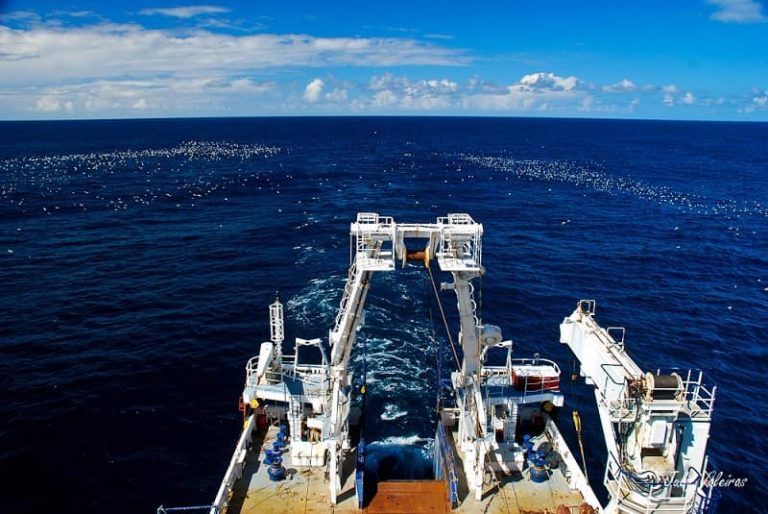 El IEO lidera un nuevo proyecto que contribuye al avance hacia una gestión pesquera basada en los ecosistemas