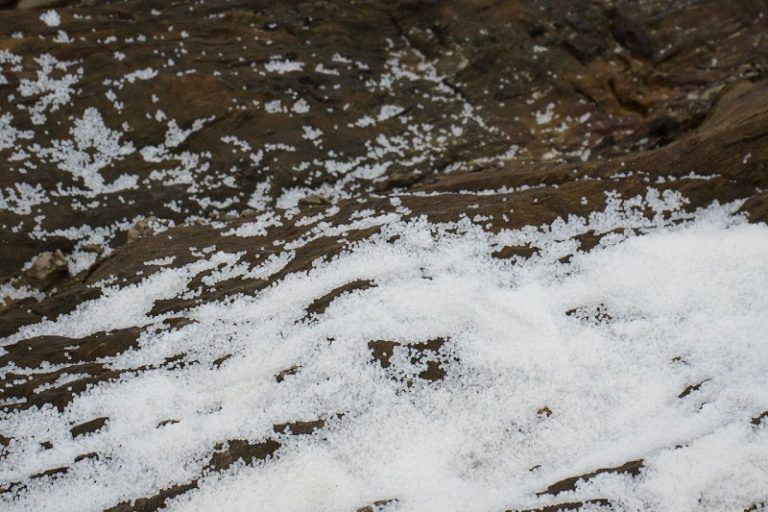 Ecoloxistas en Acción demanda no Xulgado á naveira que provocou a vertedura de pellets na costa galega