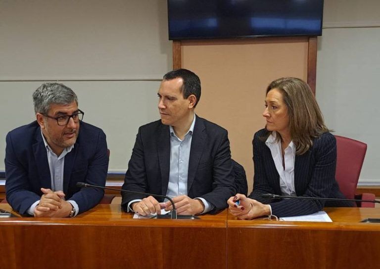 Luisa Sánchez sustituirá a Fernández-Tapias como diputada en la Diputación de Pontevedra