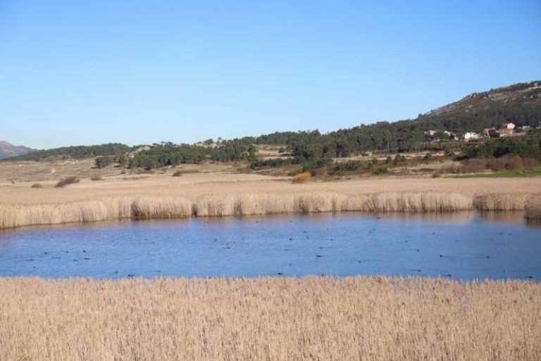 El inventario de zonas húmedas de Galicia incorpora 250 espacios más